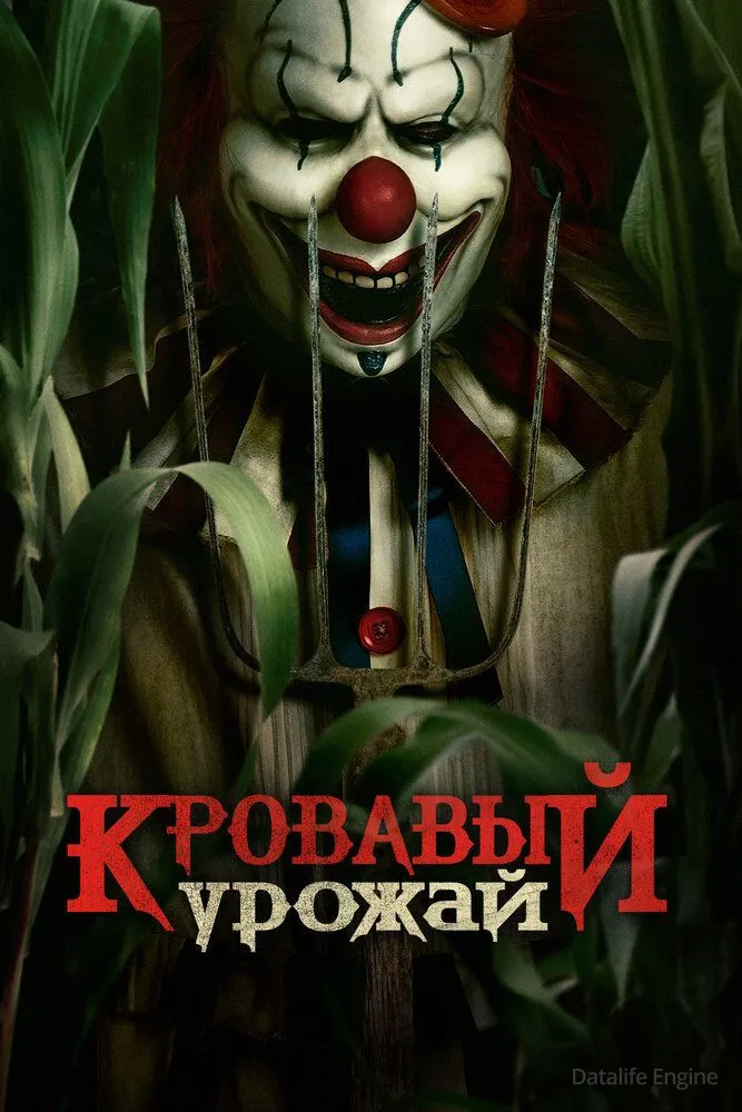 Размытый фон новости