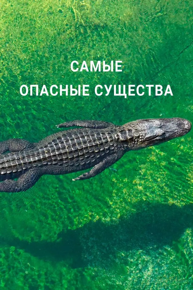 Размытый фон новости