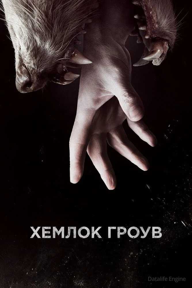 Размытый фон новости