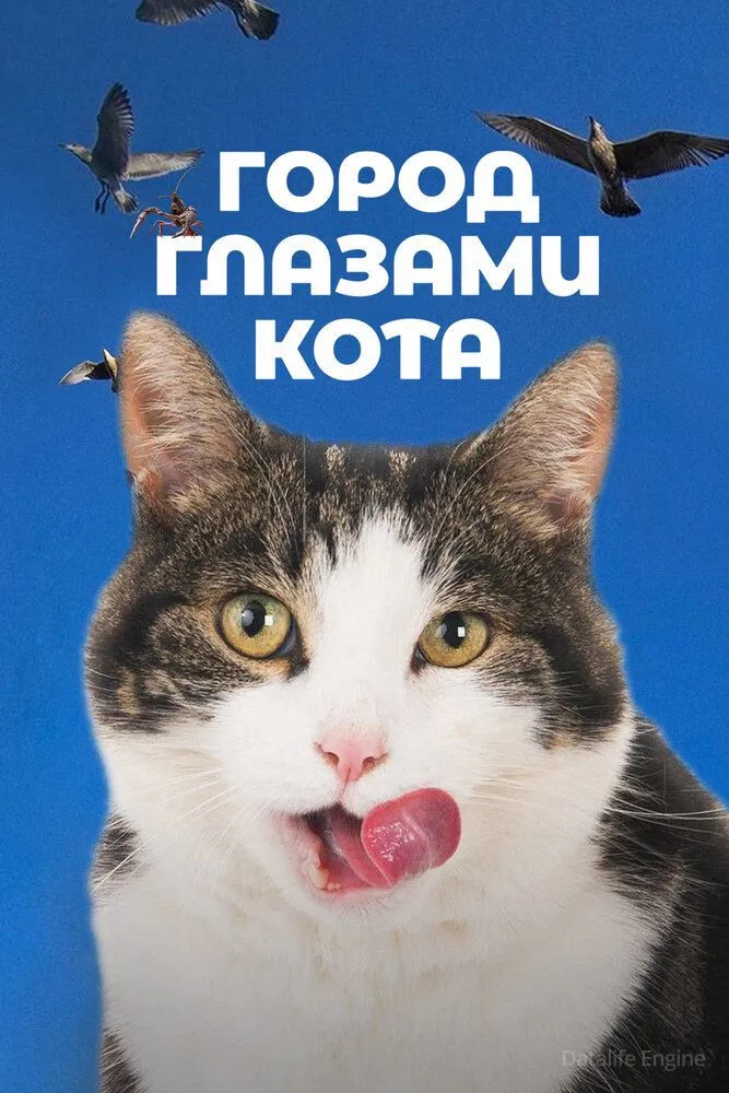Размытый фон новости