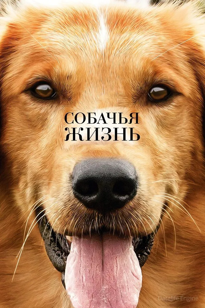 Размытый фон новости